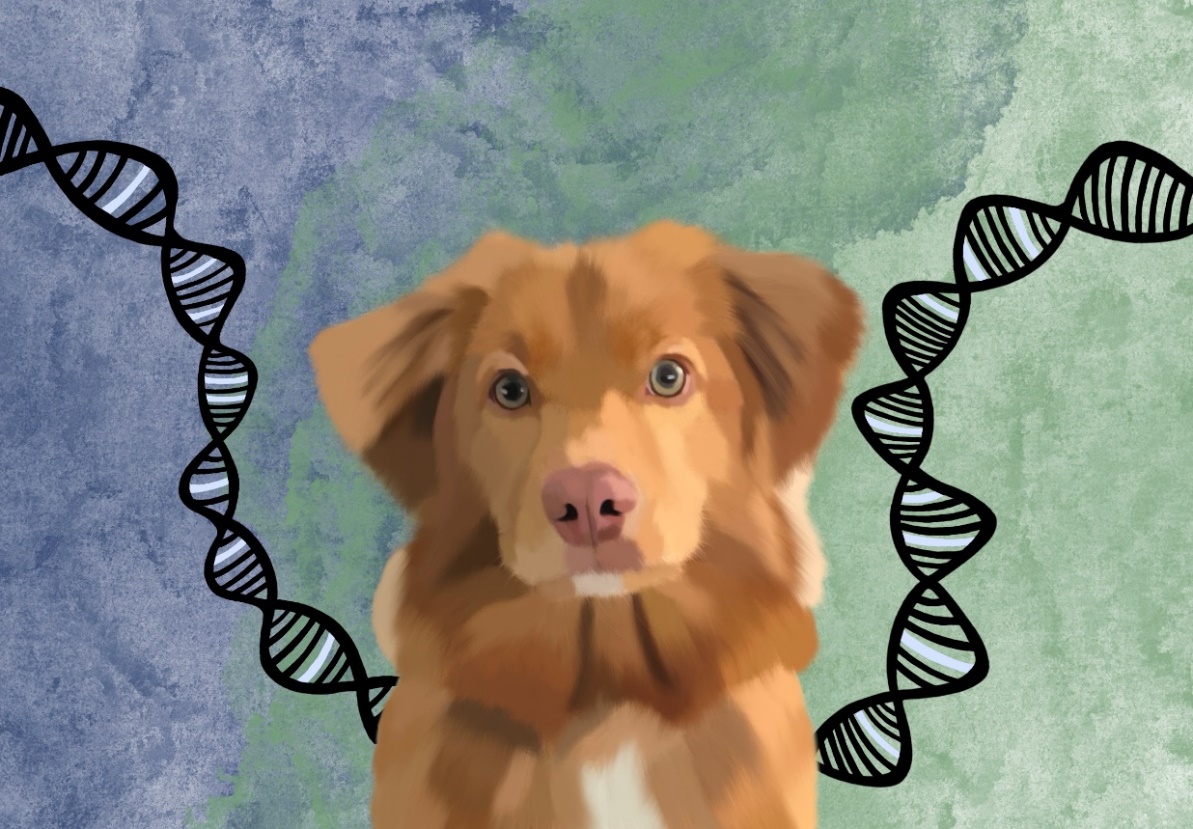 GenoArt